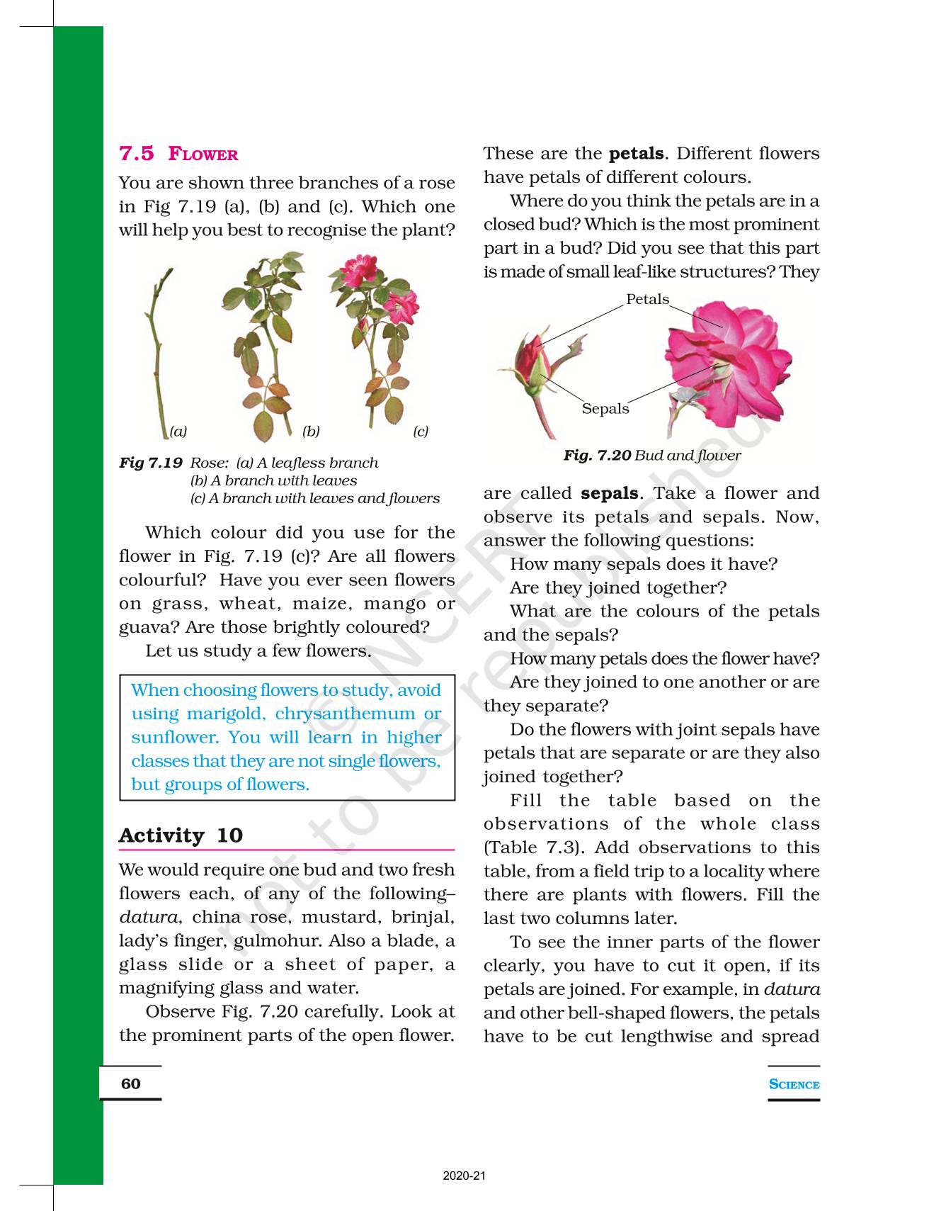 Getting To Know Plants - NCERT Book Of Class 6 Science